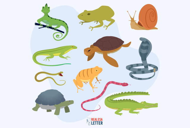 emotional-support-animals-on-no-fly-list