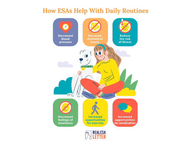 How ESAs Help With Daily Routines